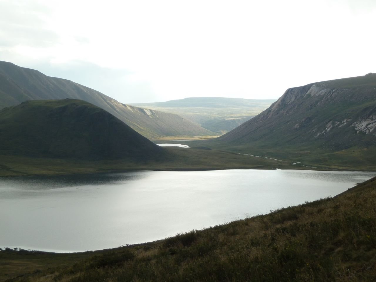 Rarely visited and under documented montane habitats in Mongolia, Khukh lake. (19 – 22 July 2012)