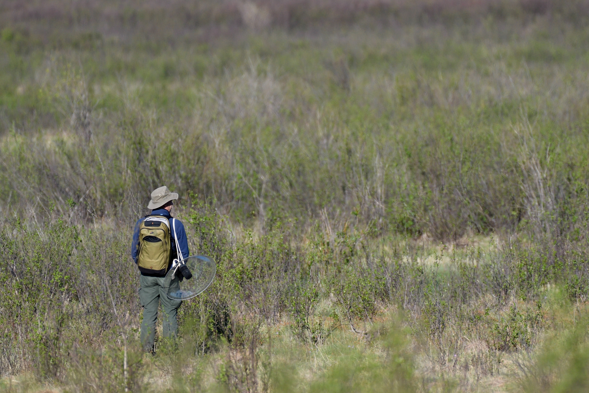 Bird sound recording trip to northeastern Mongolia