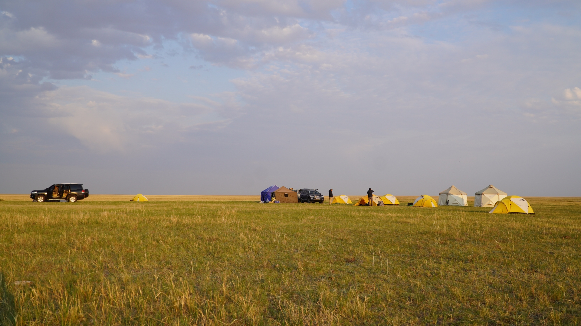 Autumn birding trip to Eastern Mongolia with Andreas Buchheim, Silas Olofson and the Germans