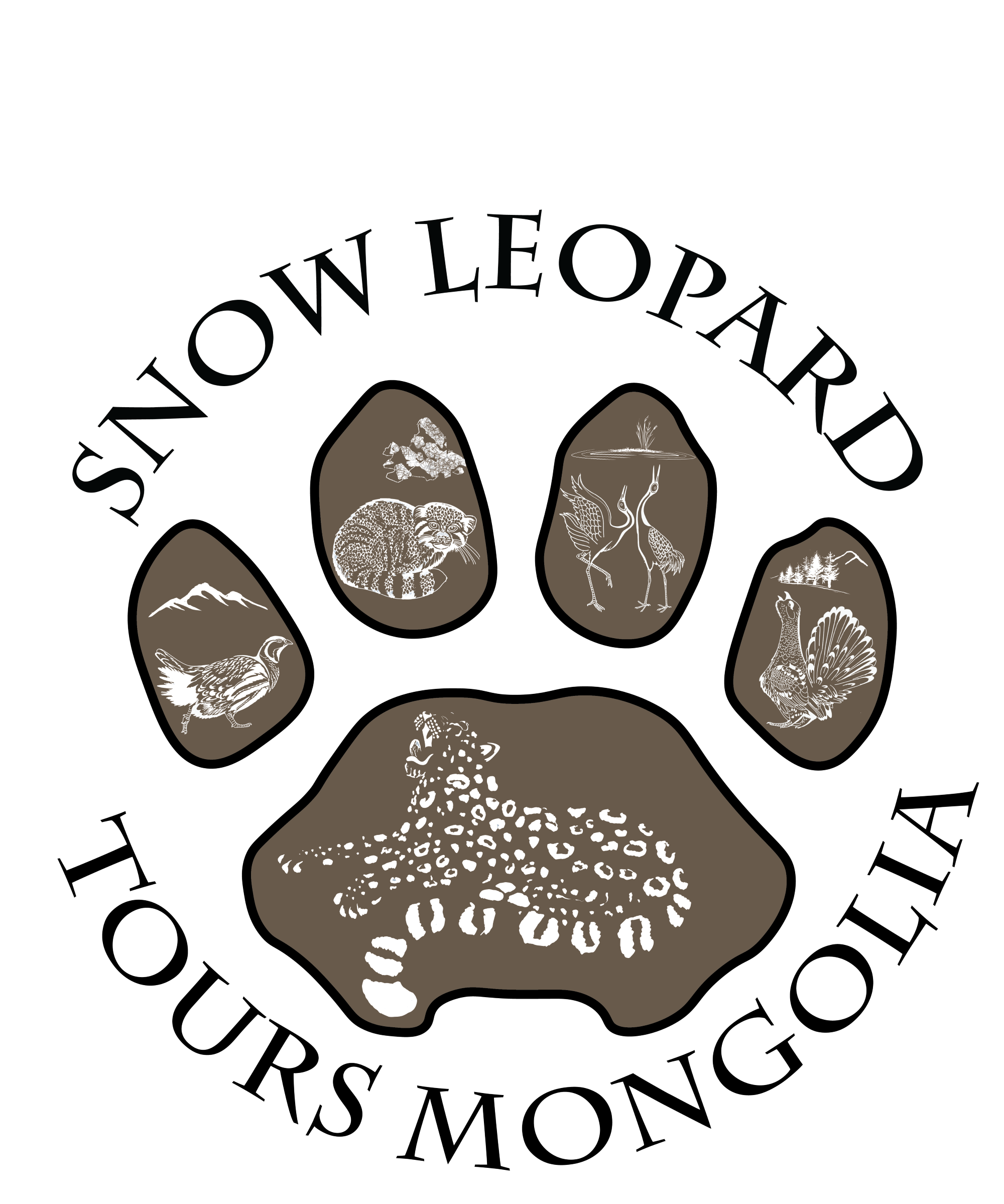 Snow Leopard Tours Mongolia | Snow Leopard and bird watching tours