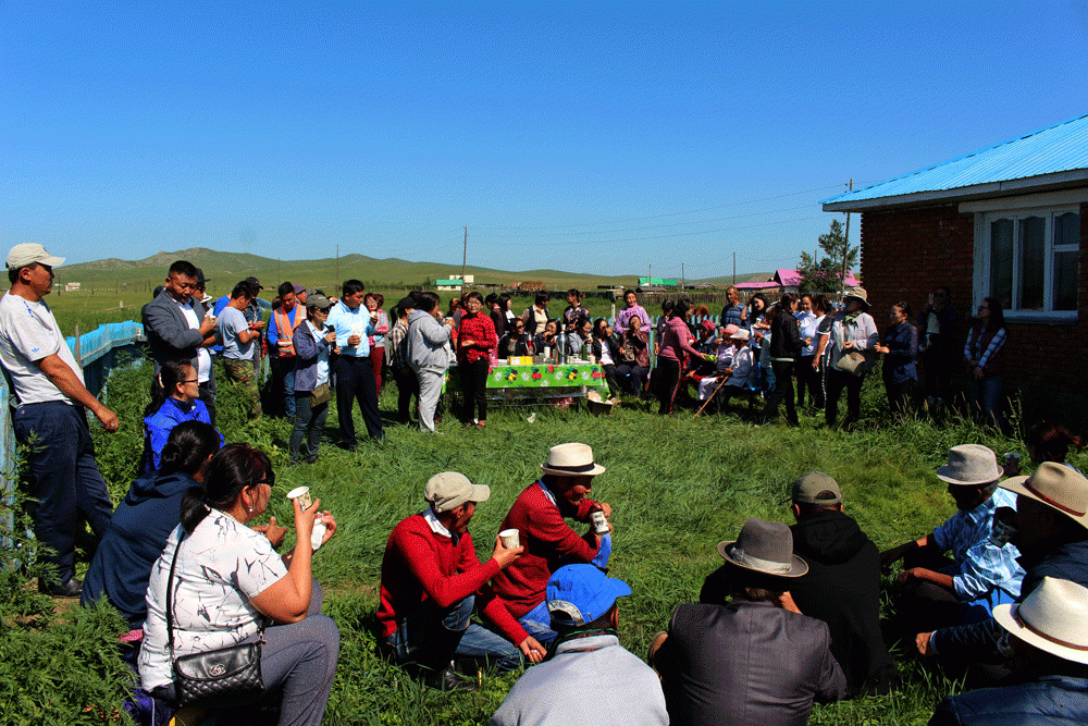 Local communities are satisfied with Boroo Gold’s afforestation and pasture management projects