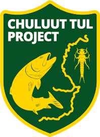 chuluuttul