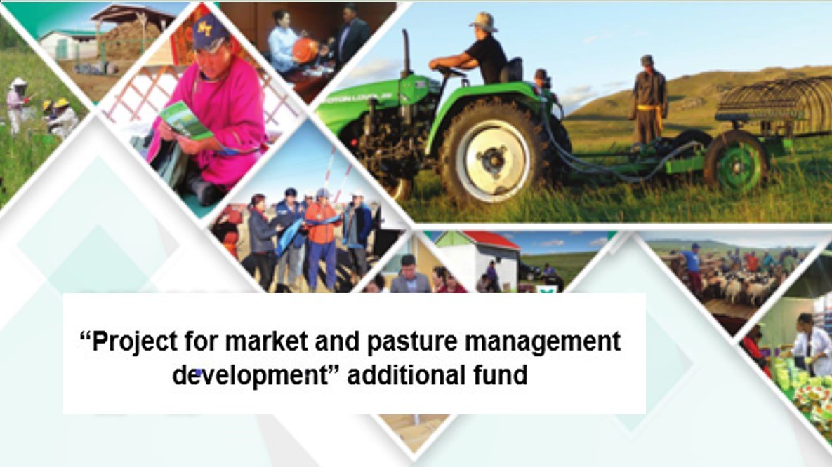 THE MAIN FINDINGS AND SUCCESS OF  PROJECT FOR MARKET AND PASTURE MANAGEMENT DEVELOPMENT IN 2020