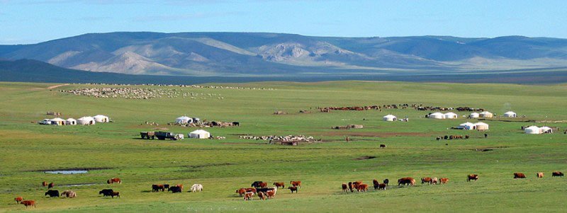 ONE DAY TOUR TO COMMUNITY OF HERDERS IN THE STEPPE REGION