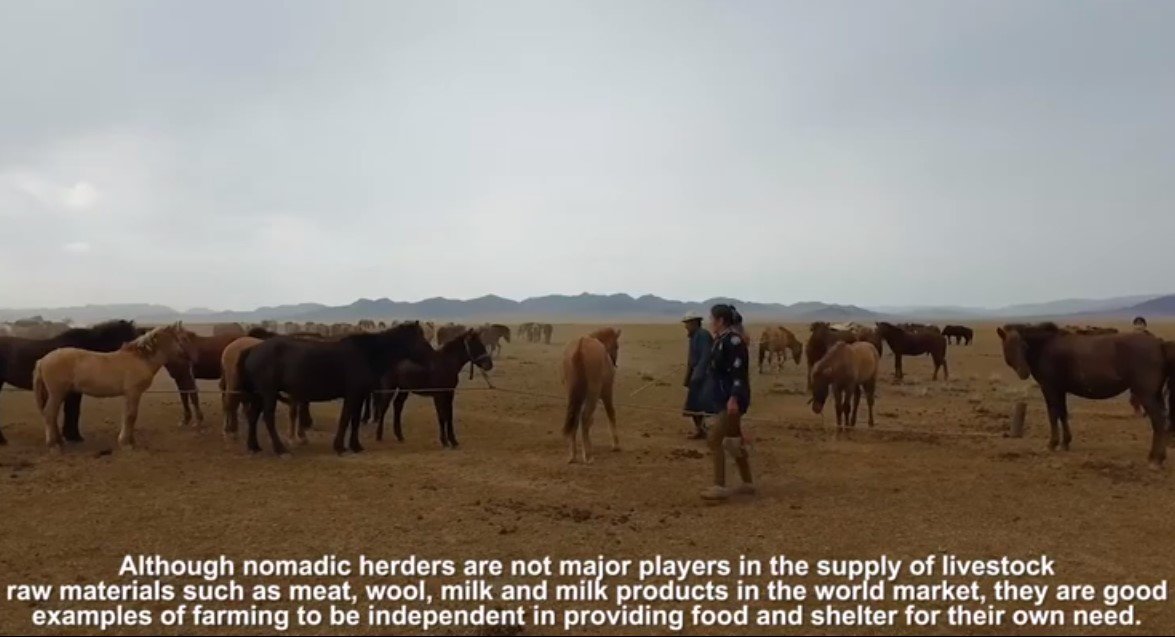 NOMADIC LIVESTOCK HUSBANDRY IN MONGOLIA | "Монголын бэлчээр ашиглагчдын ...
