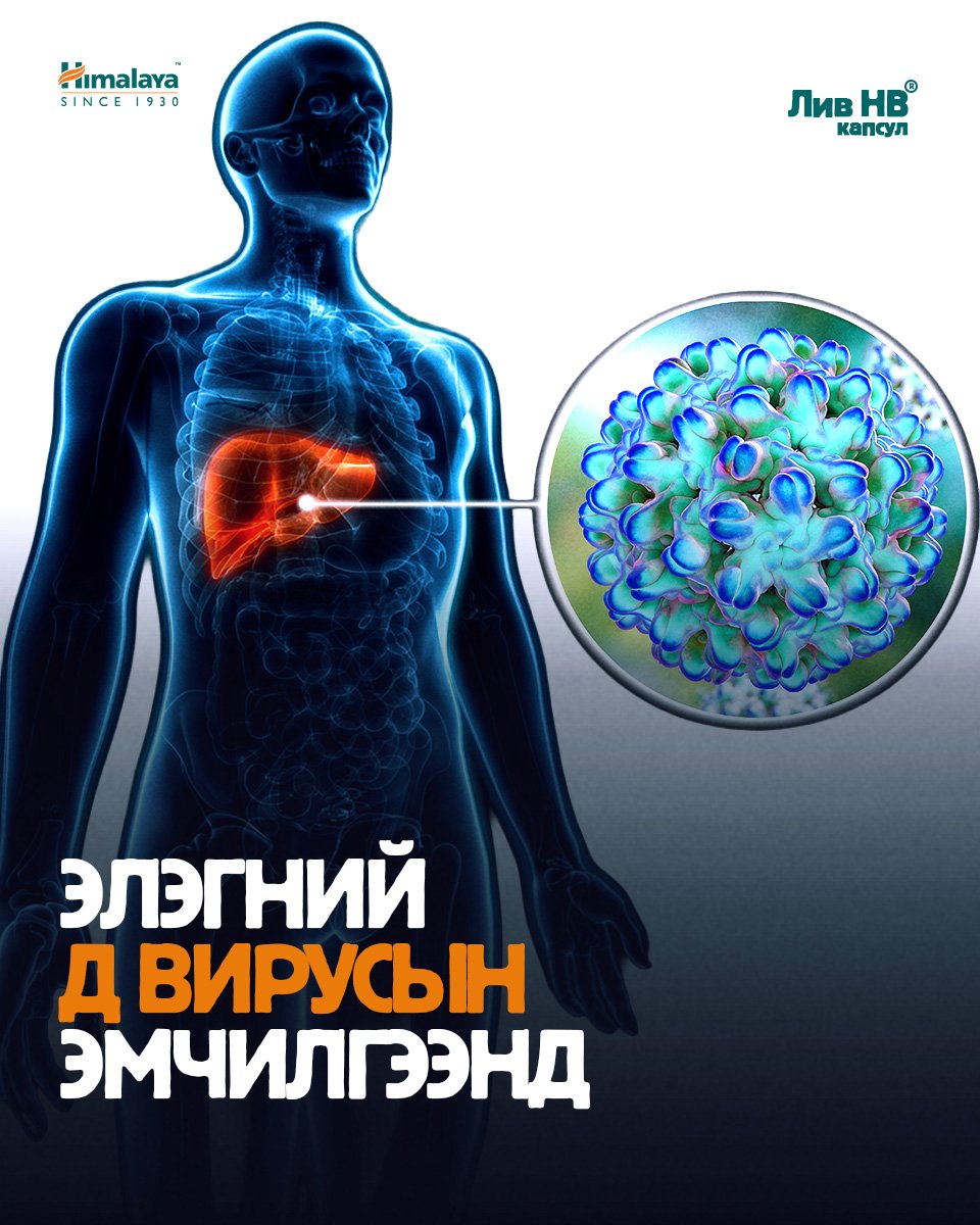 Элэгний D вирусийн аюул