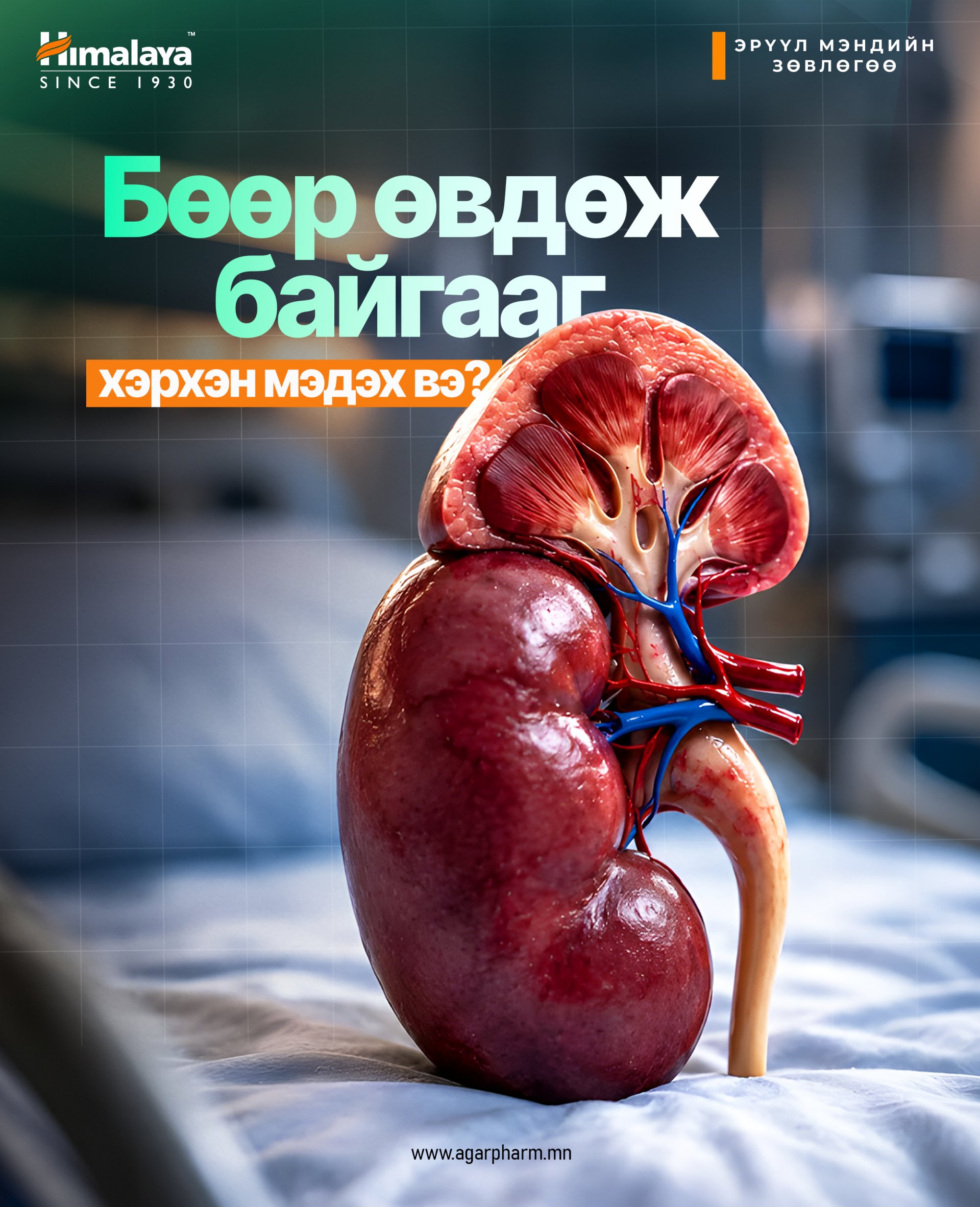 Бөөр өвдөж байгааг хэрхэн мэдэх вэ?