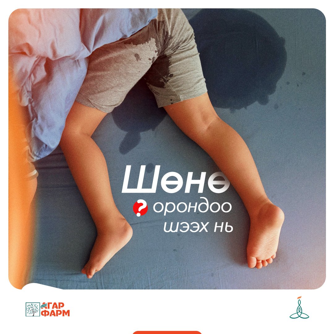 Шөнө орондоо шээх нь 