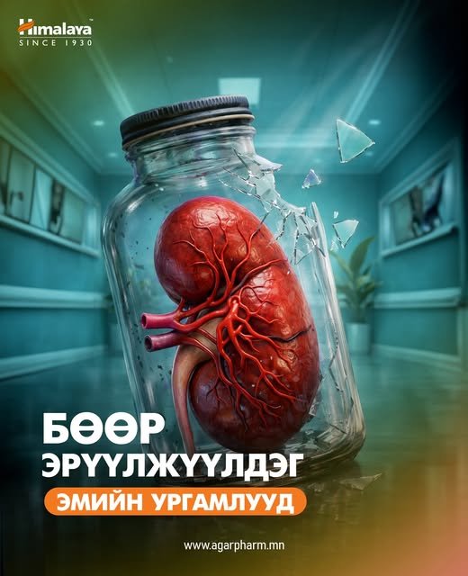 Бөөр эмчилдэг эмийн ургамлууд
