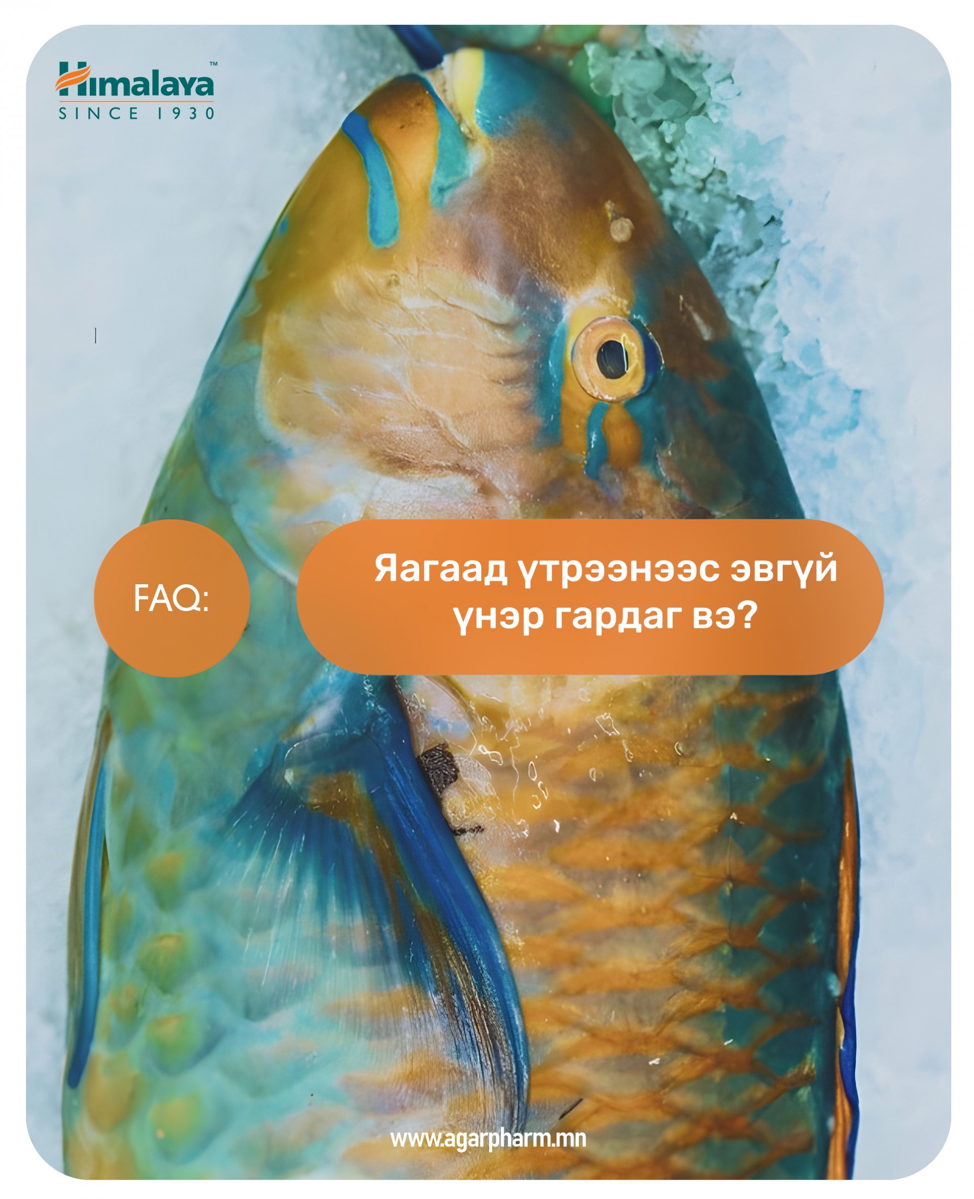 Үтрээний үнэр хэвийн зүйл үү?