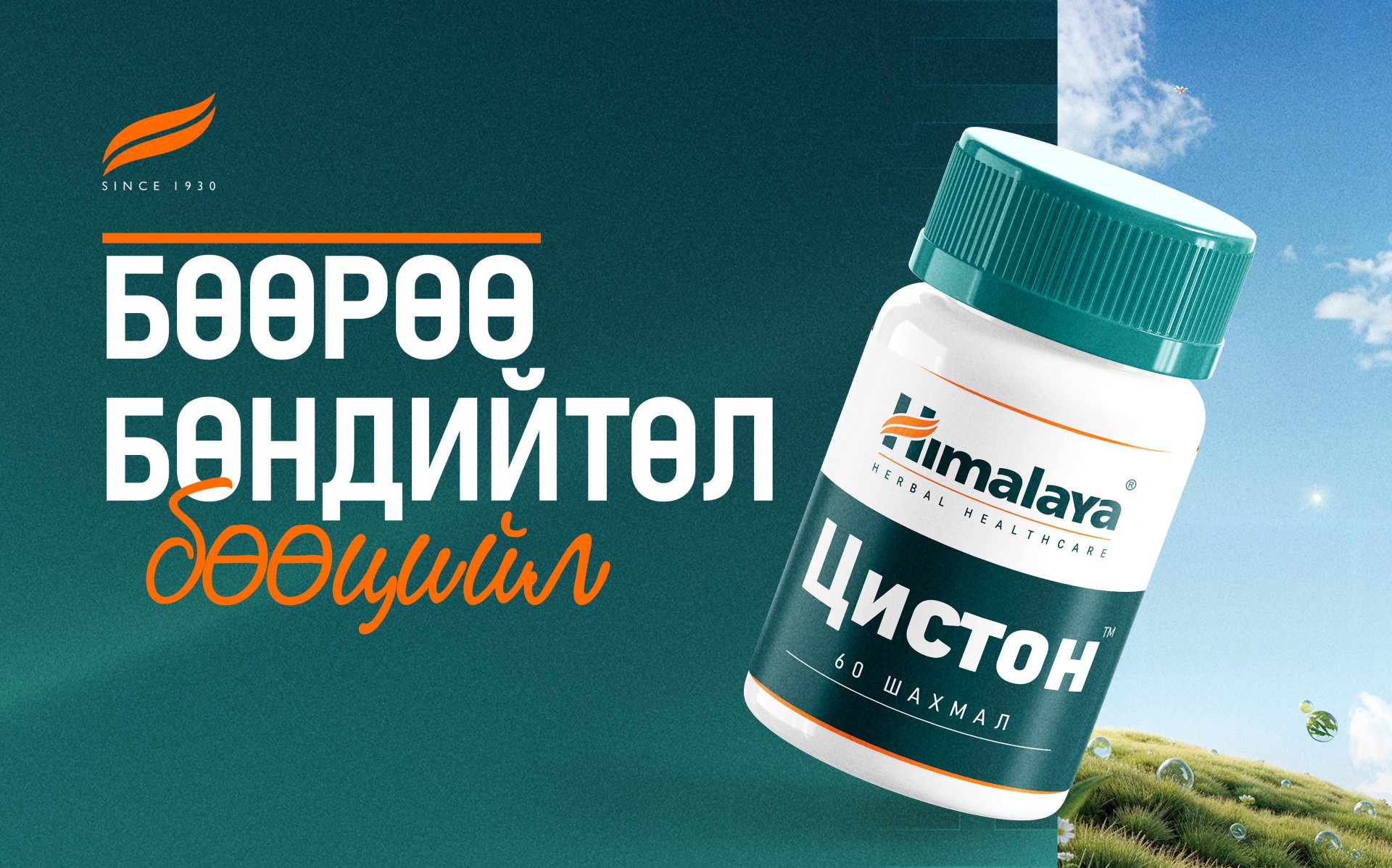 ​​​​​​​Шээсний өнгө бидэнд юуг хэлдэг вэ?