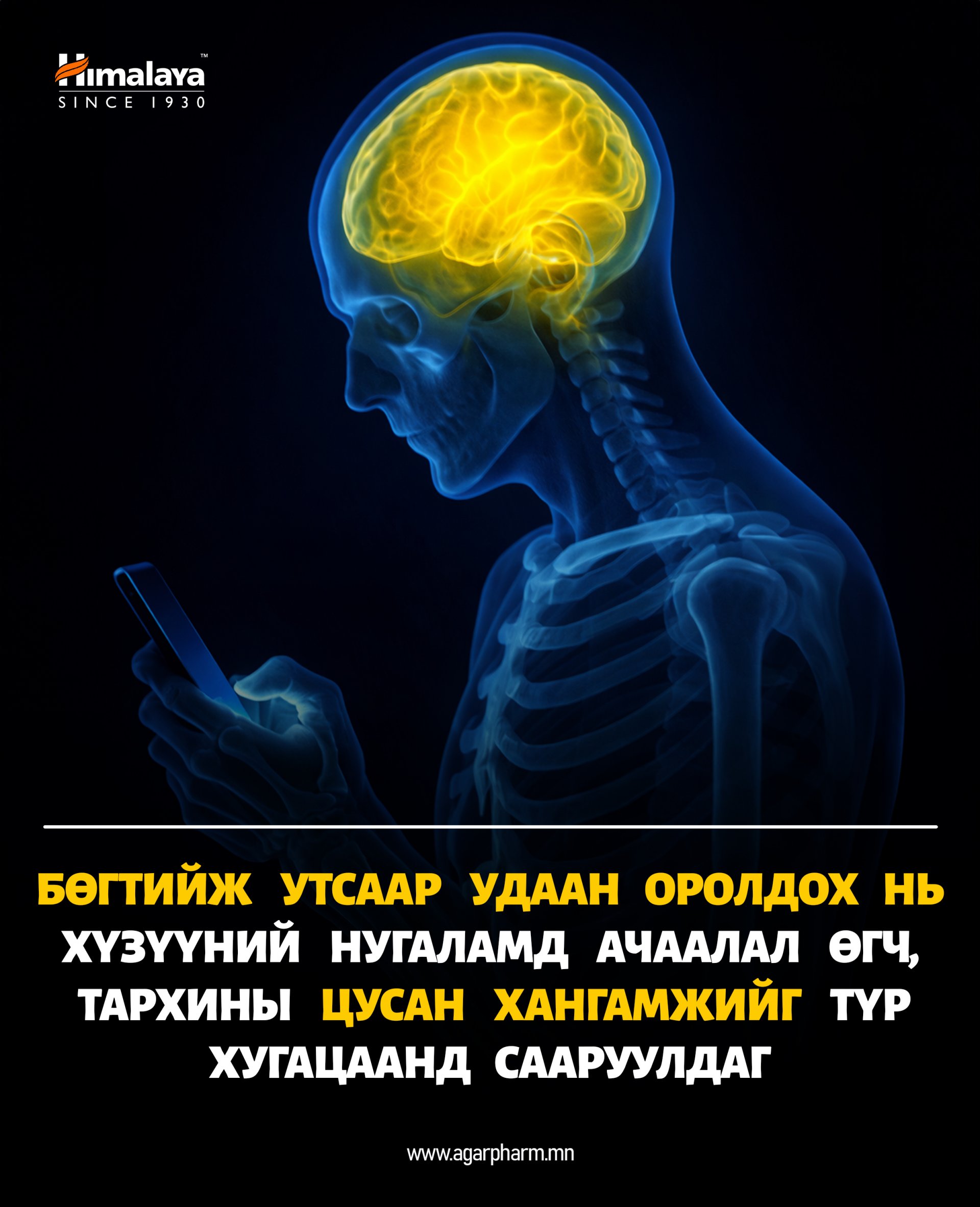 Тонгойж утсаа үзэх нь тархины цусан хангамжийг бууруулдаг