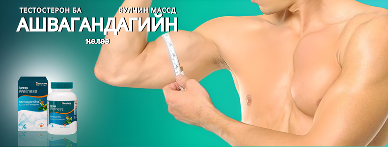 Тестостерон ба Булчингийн Массд Ашвагандагийн Нөлөө