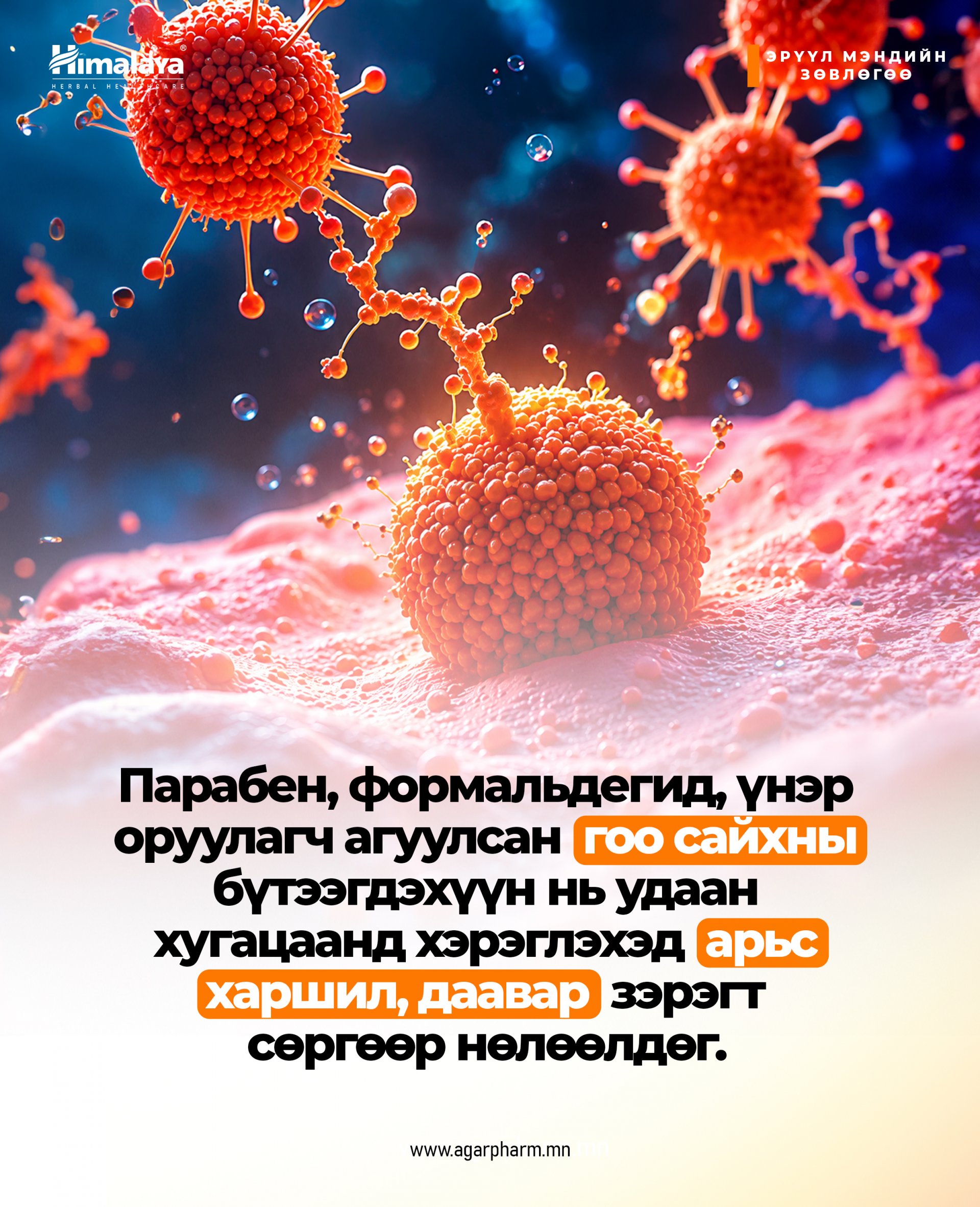 Зарим гоо сайхны бүтээгдэхүүн удаан хугацаанд хэрэглэхэд арьс, харшил, дааварт сөргөөр нөлөөлдөг