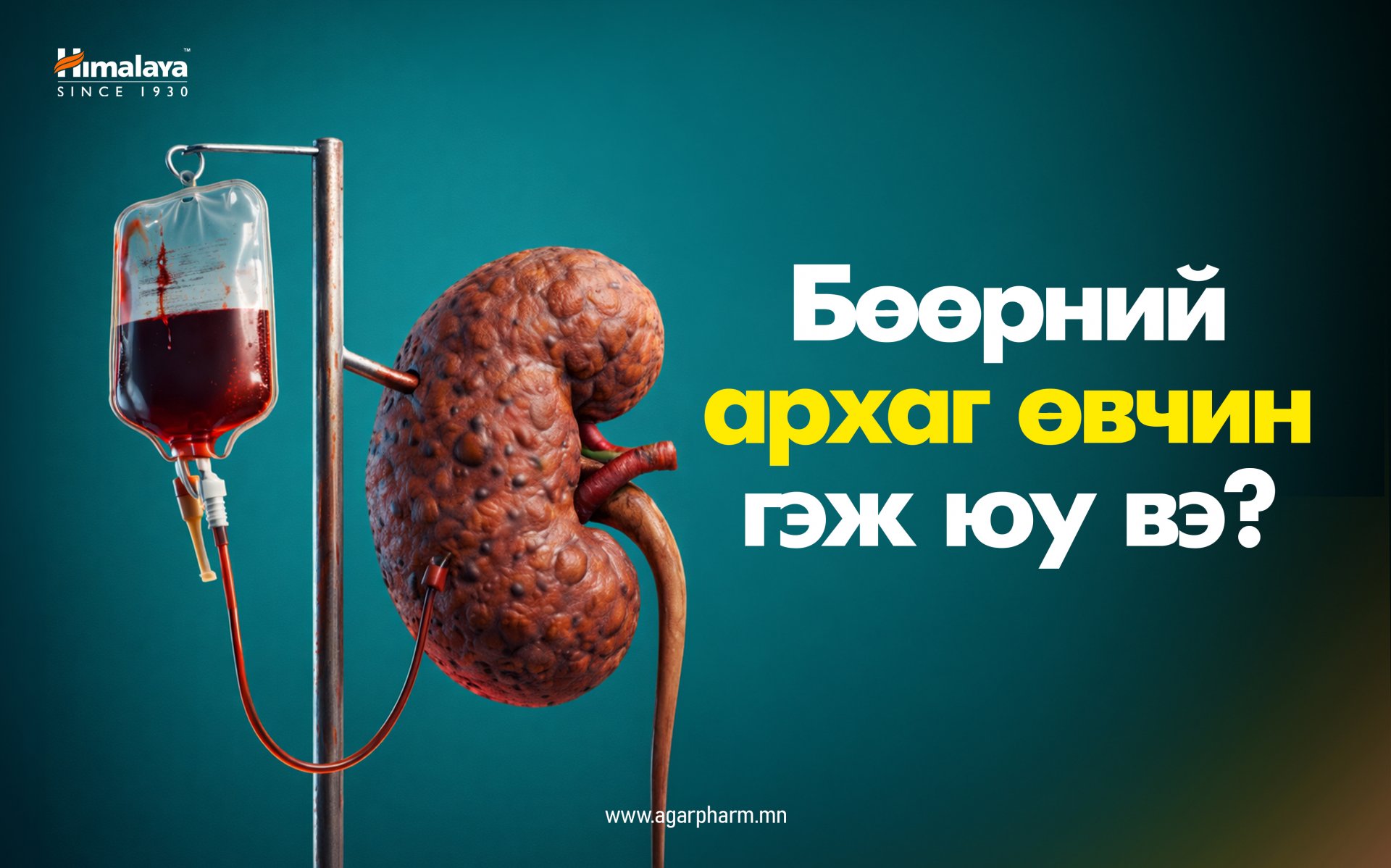 Бөөрний архаг өвчин гэж юу вэ?