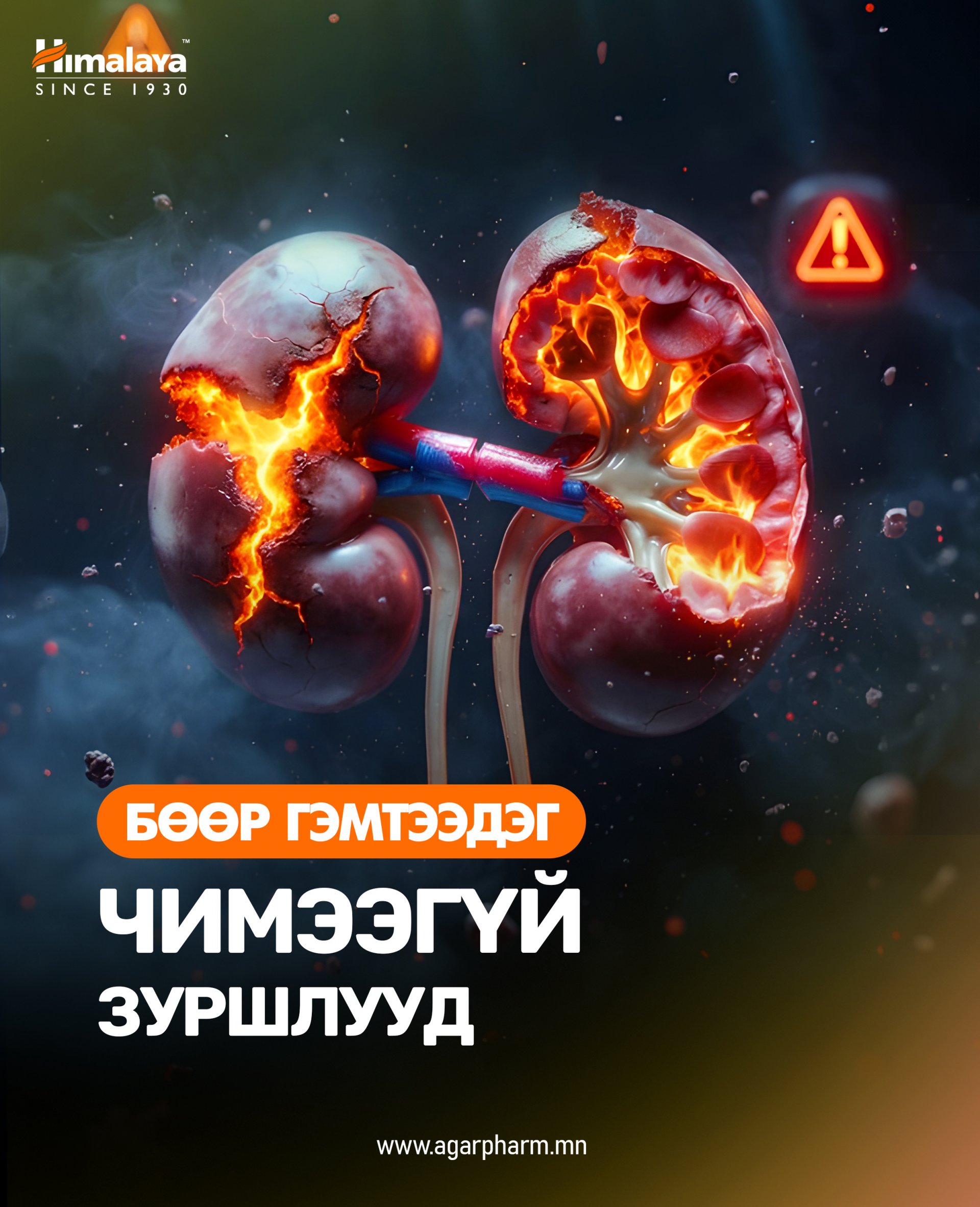 Бөөрийг чимээгүй гэмтээдэг зуршлууд