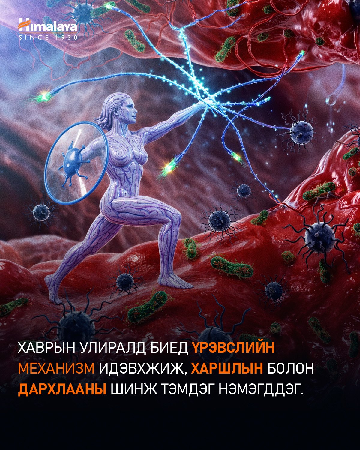 Хаваршилтыг хэрхэн давах вэ?