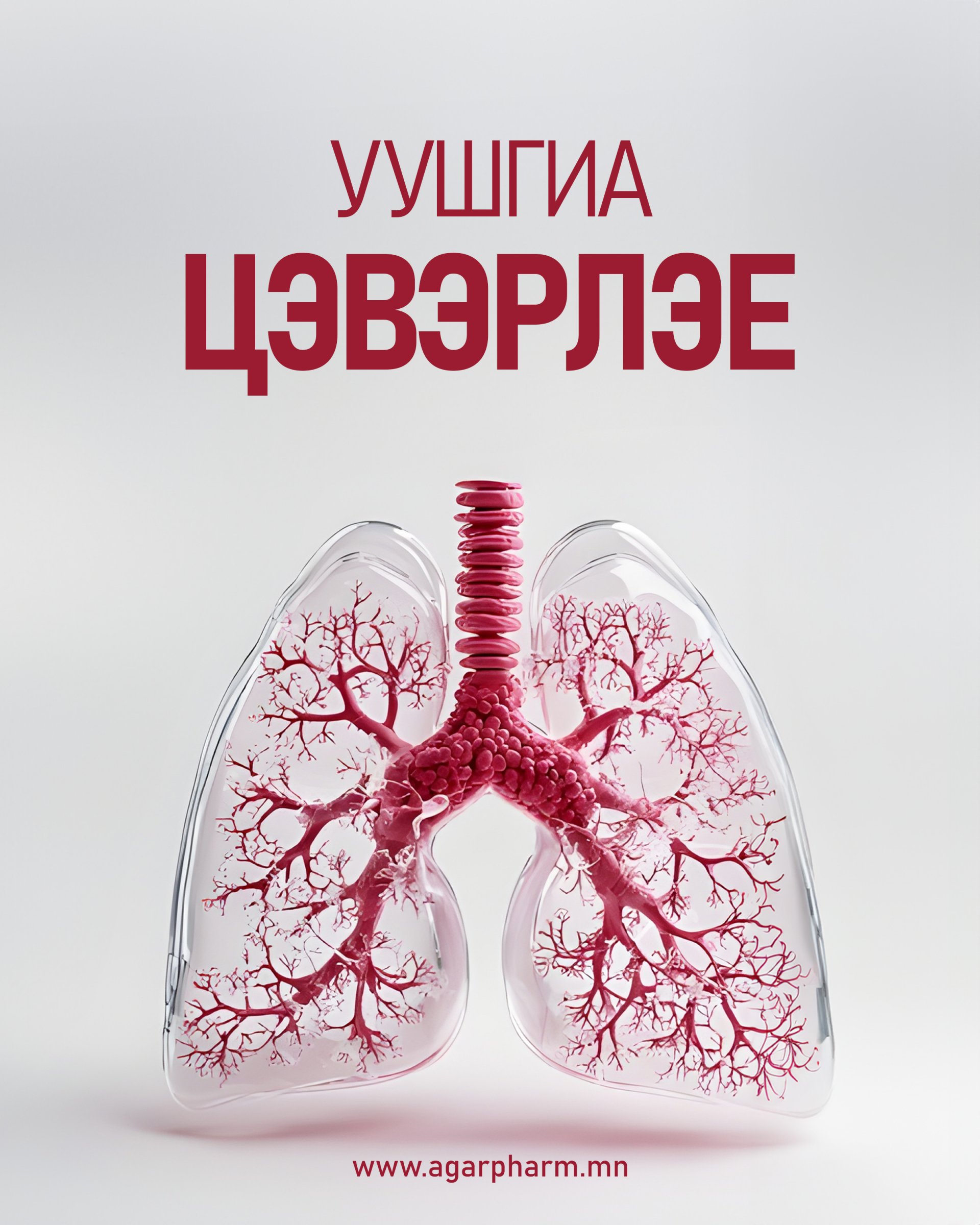 Астма уу? Харшил уу? Ханиалгасан цагаар өвчнөө шинж