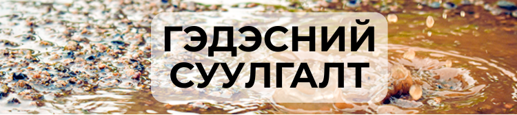 Борооны дараа гэдэсний суулгалт элбэг тохиолддог. Яагаад??? 