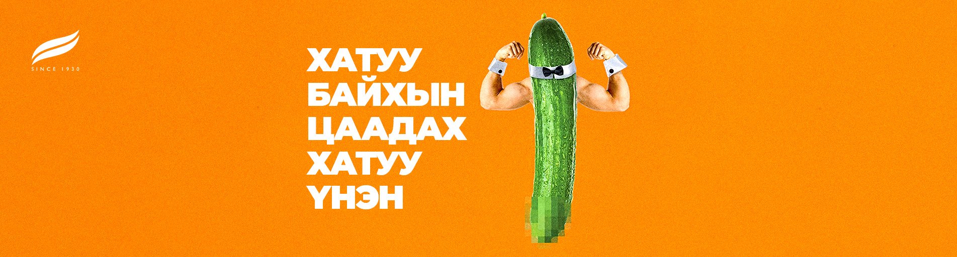 Хатуу байхын цаадах хатуу үнэн