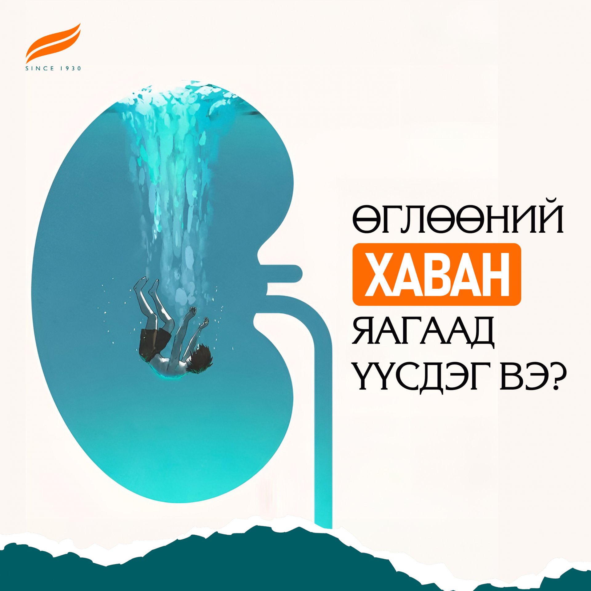 Өглөөний хаван юу өгүүлдэг вэ?