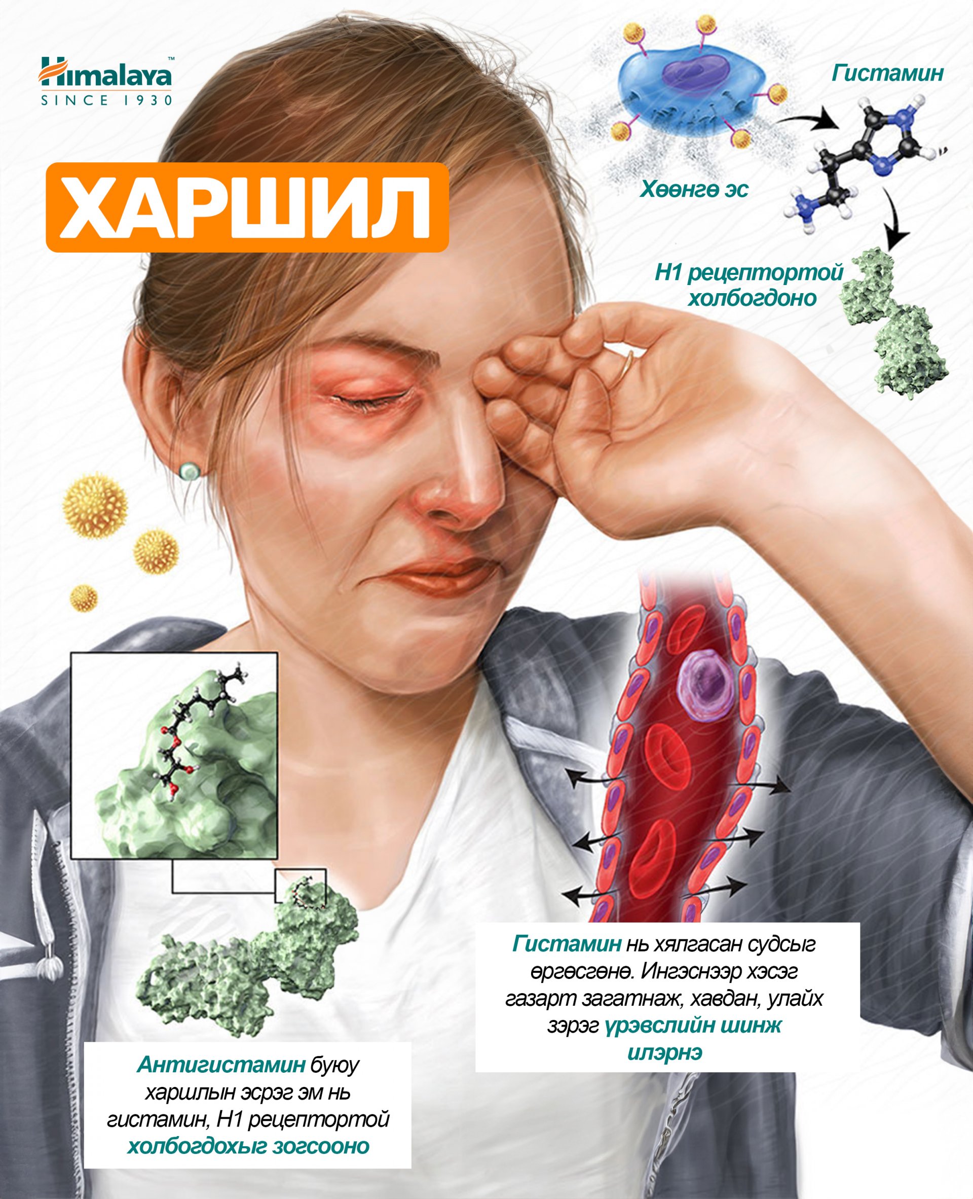 Харшлыг тоохгүй өнгөрөөвөл юу болох вэ? 