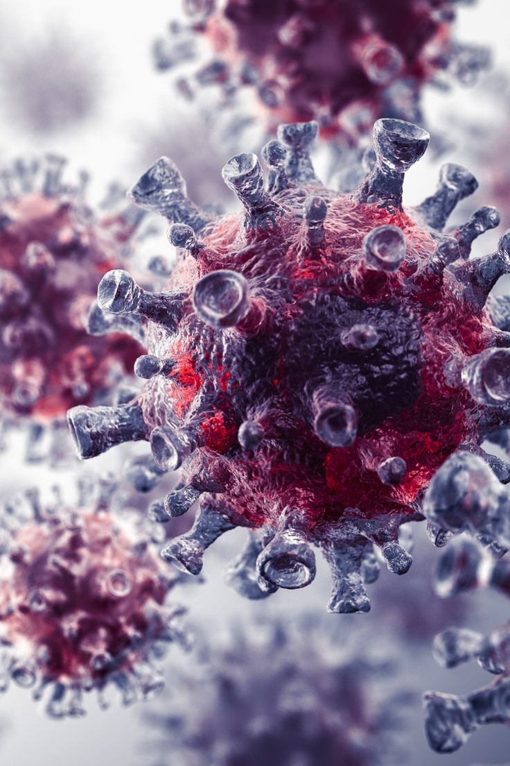 Томуугийн дэгдэлтийн үед Ротавирусын халдвараас хүүхдээ хэрхэн хамгаалах вэ?