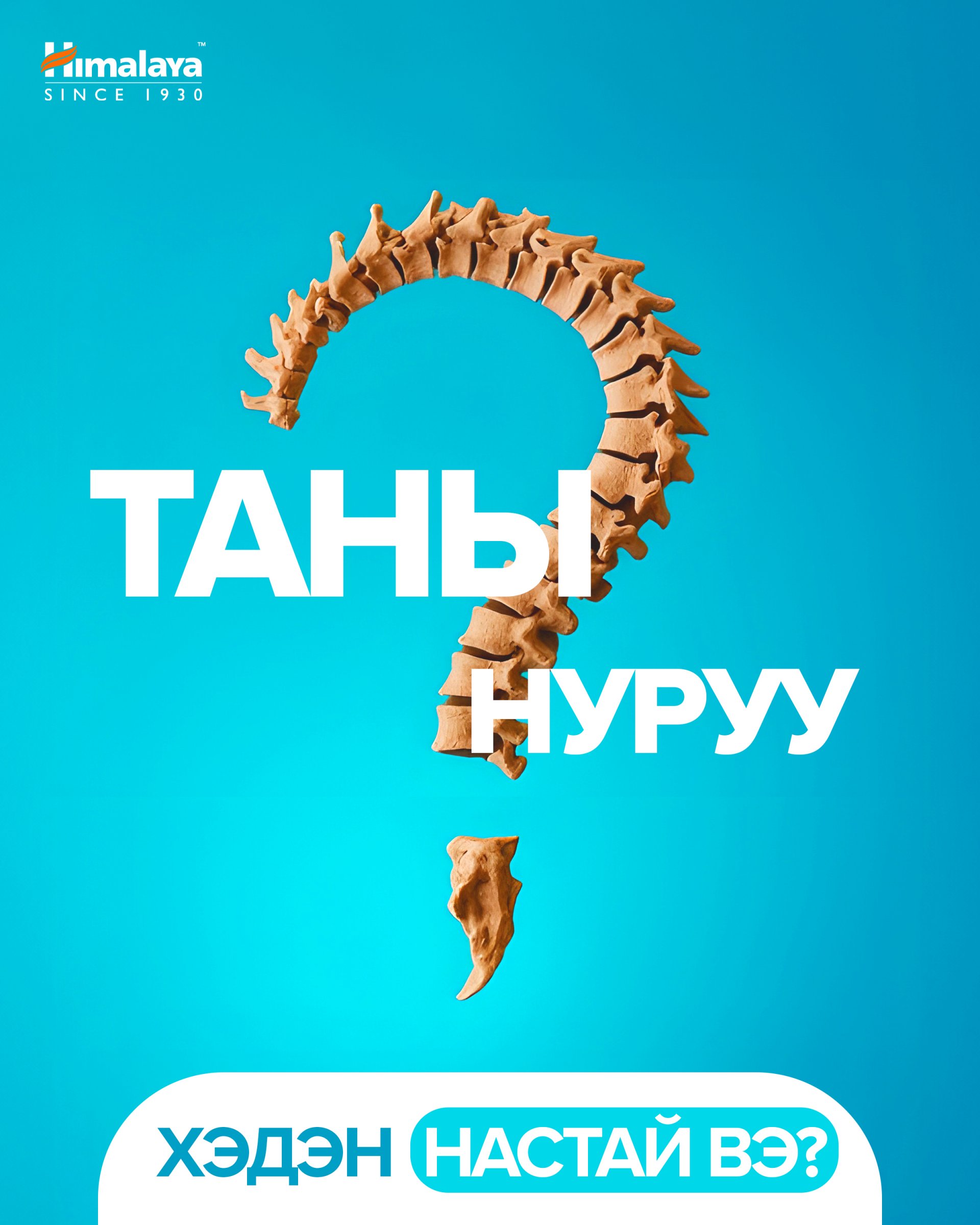 Та нурууныхаа насыг мэдэх үү ?