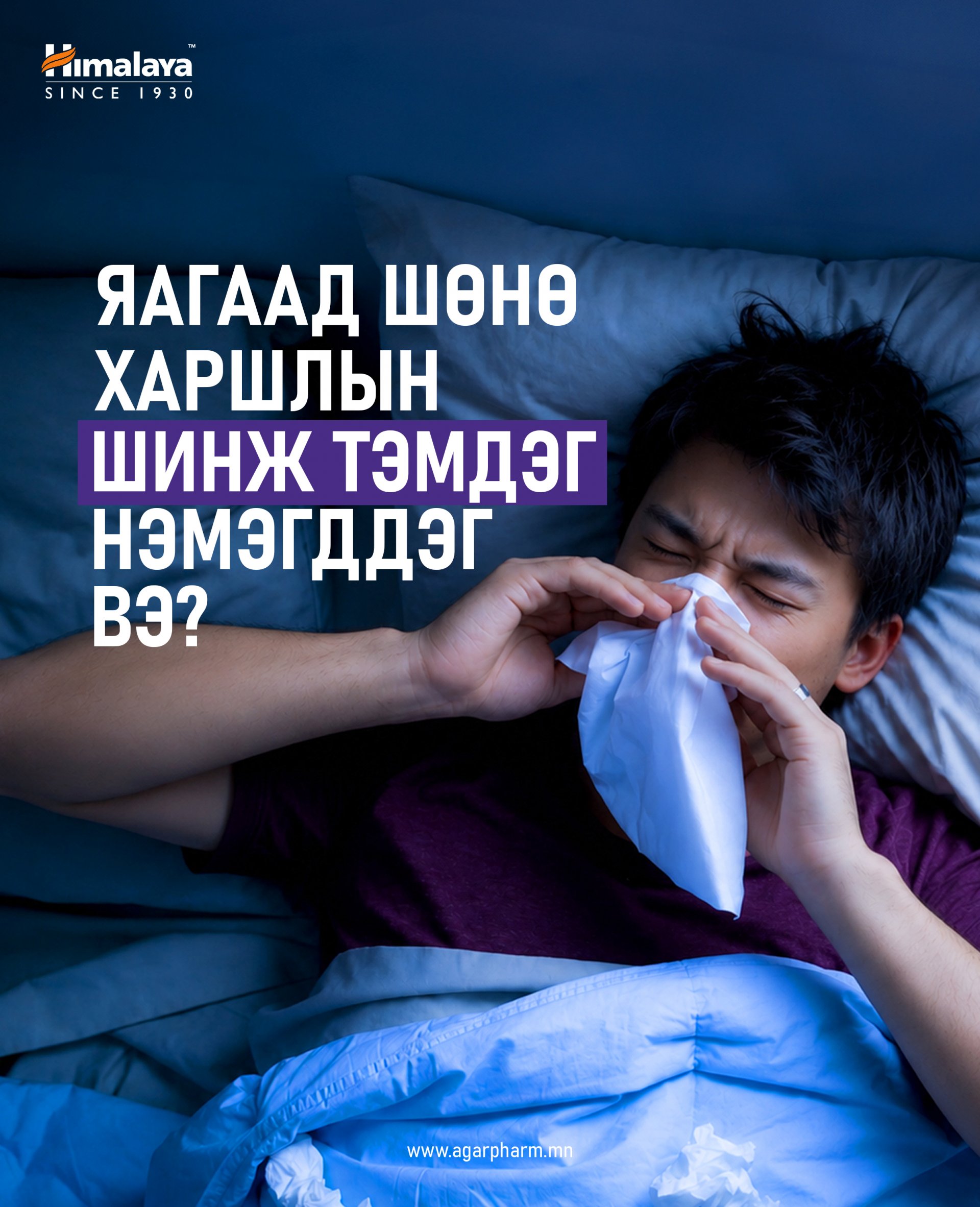 Оройдоо хамар битүүрч, найтааж байна уу?