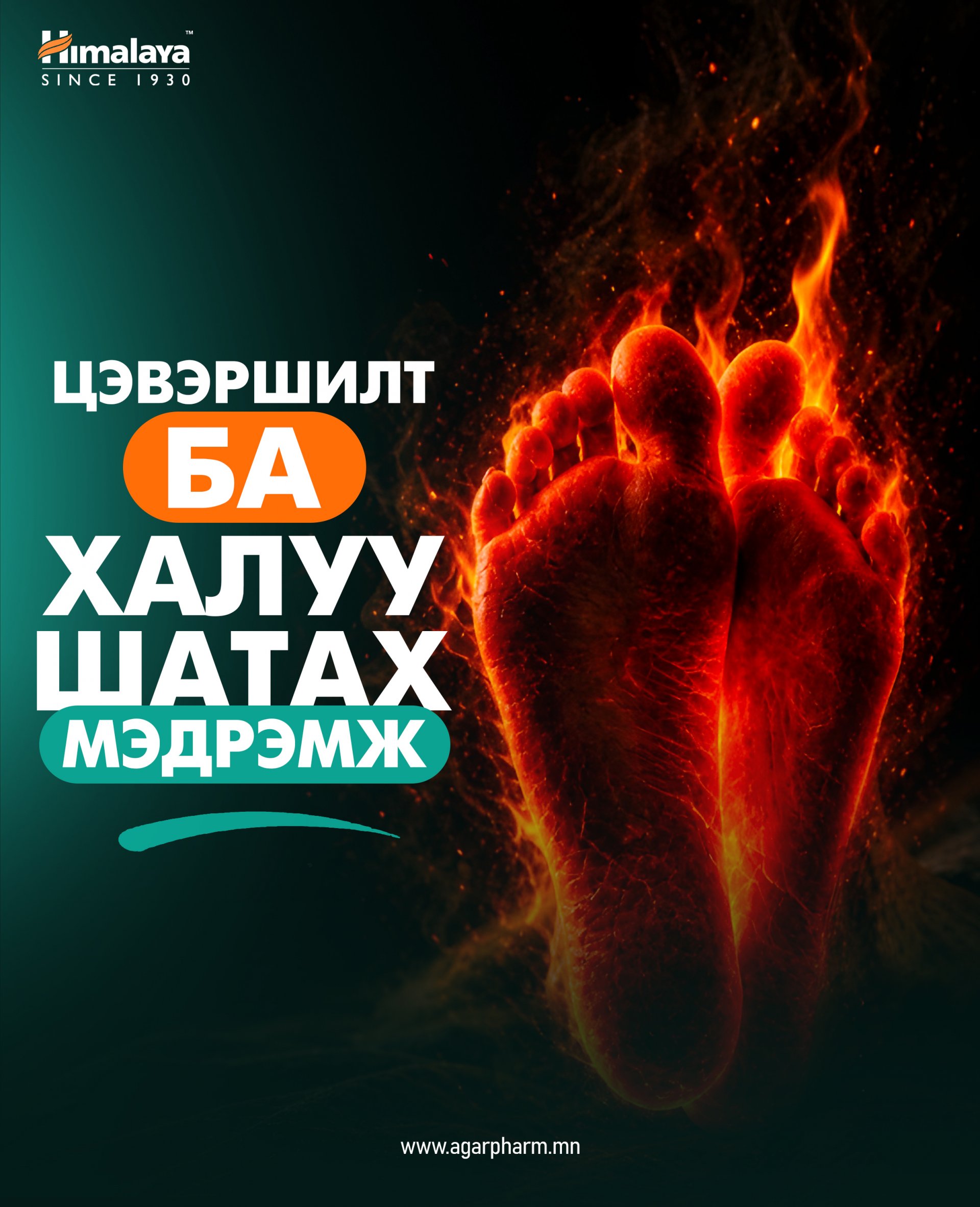 ЦЭВЭРШИЛТ БА ХАЛУУ ШАТАХ 
