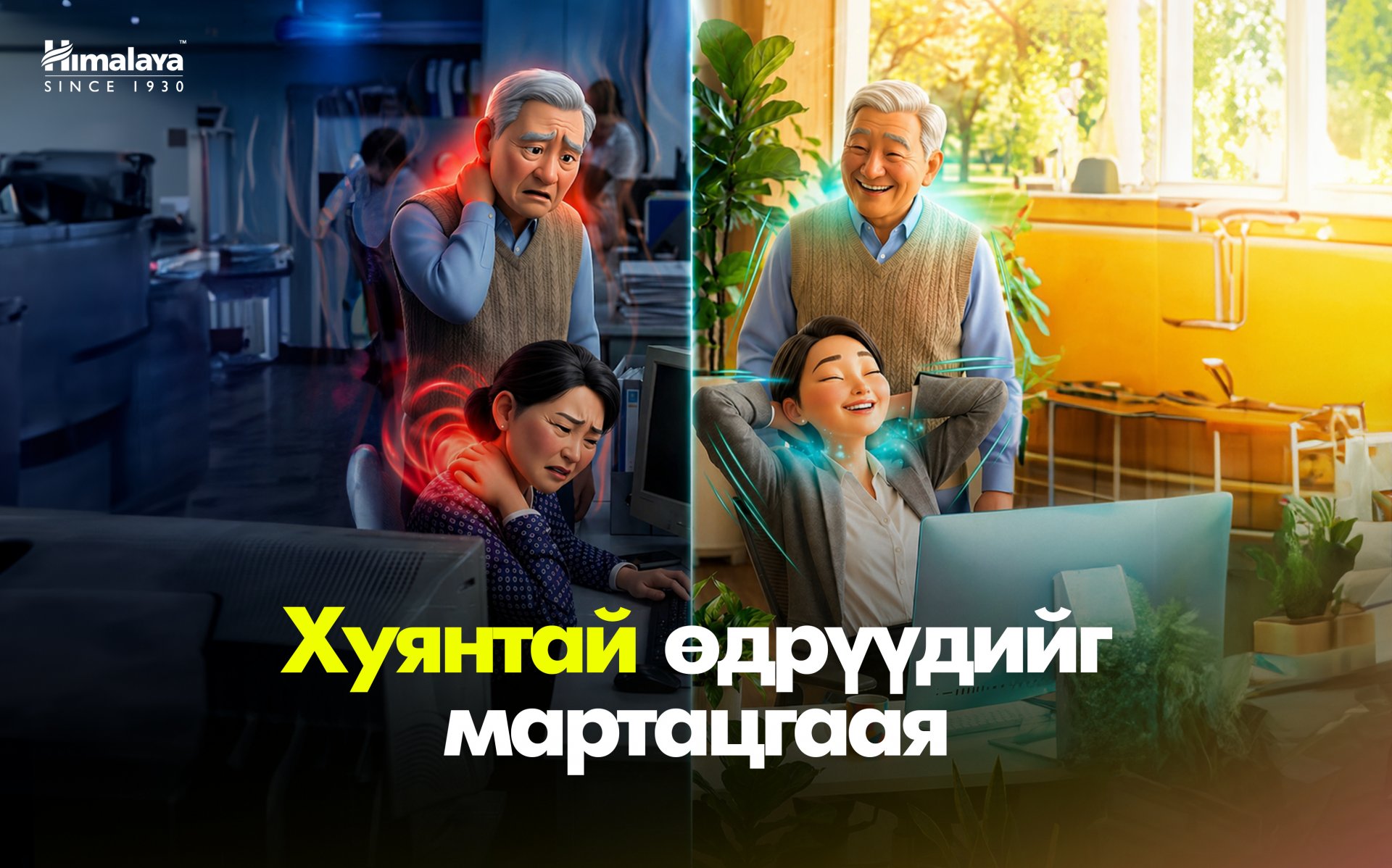 Хүзүү хөшихийг тоохгүй яваад л байна уу? 