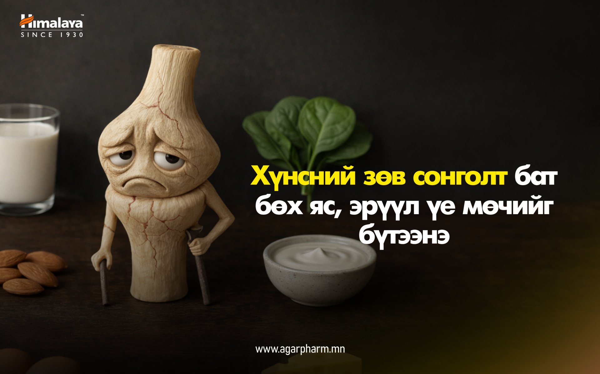 Зөв хооллолт – бат бөх яс, уян үеийн нууц зэвсэг