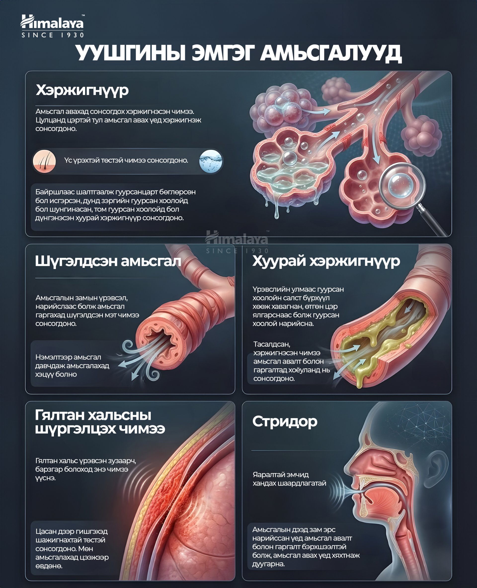 Уушгины эмгэг амьсгалууд 