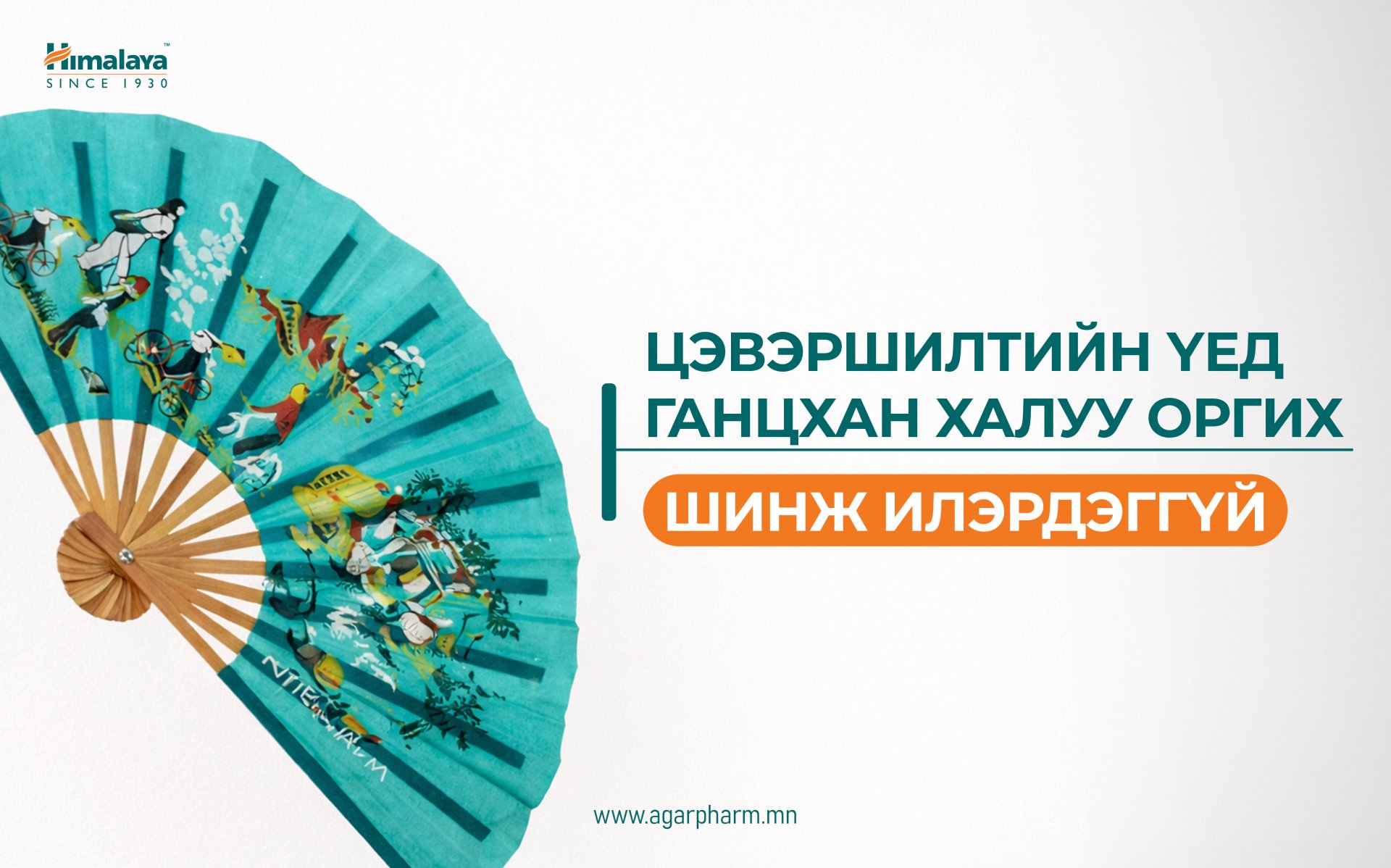 ЦЭВЭРШИЛТ — ХАЛУУ ОРГИХООР ХЯЗГААРЛАГДАХГҮЙ