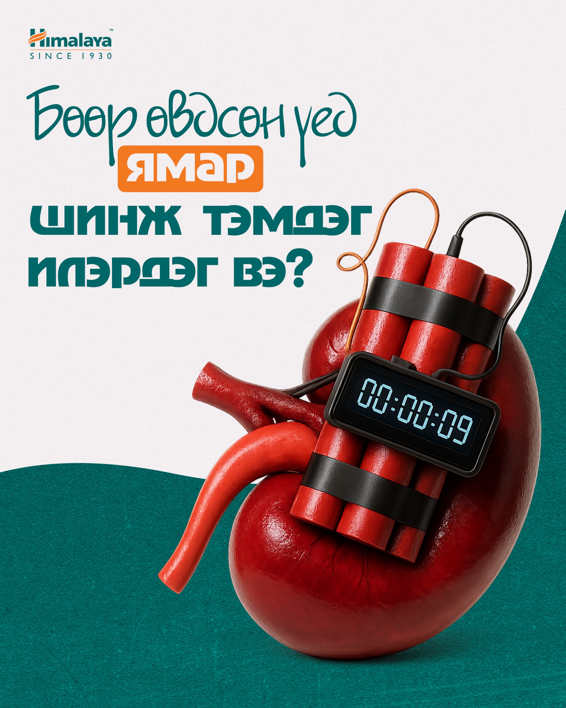 Бөөрний өвдсөн үед илрэх шинж тэмдгүүд