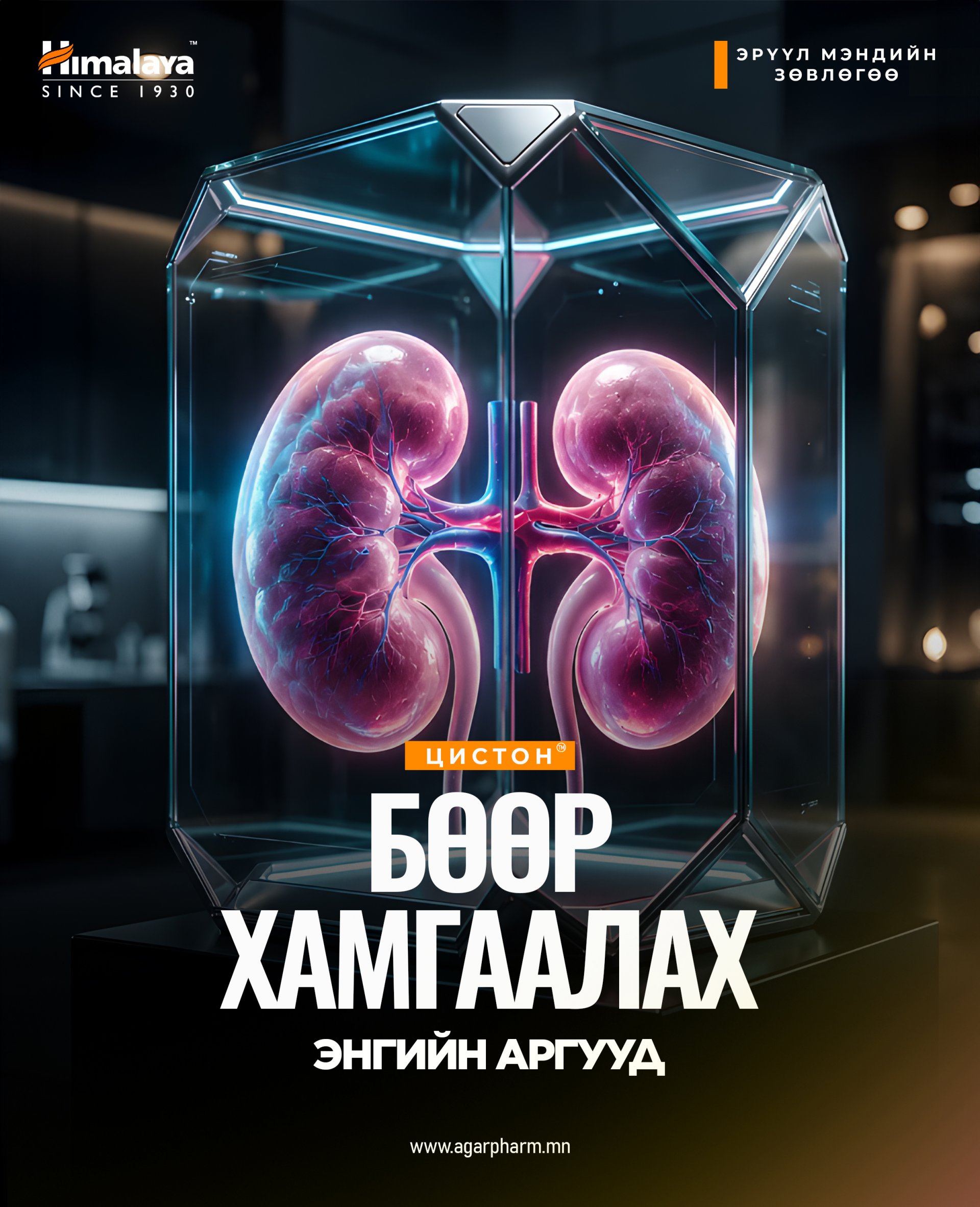Бөөрөнд тустай 6 дадал
