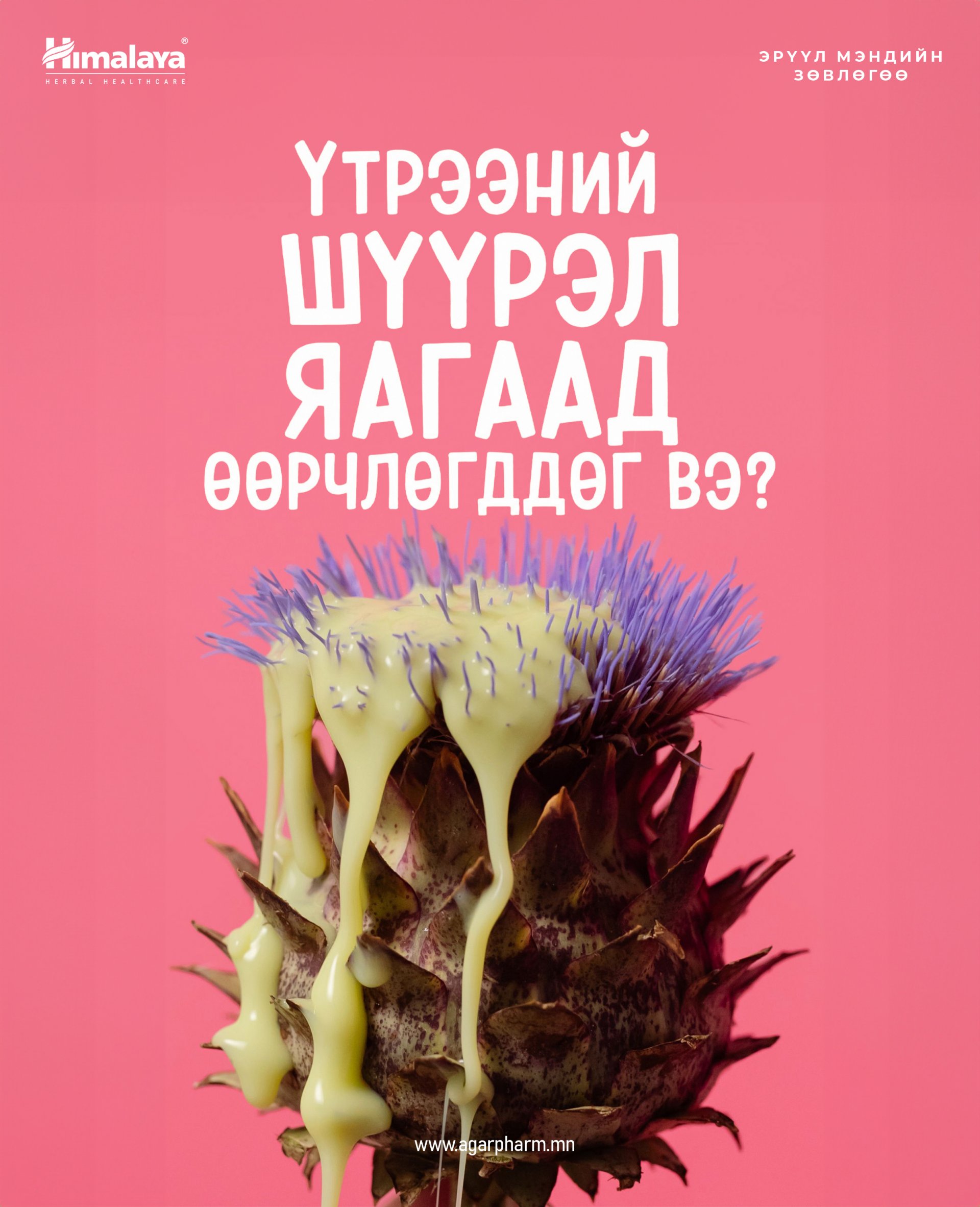 Үтрээний Шүүрэл Яагаад Өөрчлөгддөг вэ?