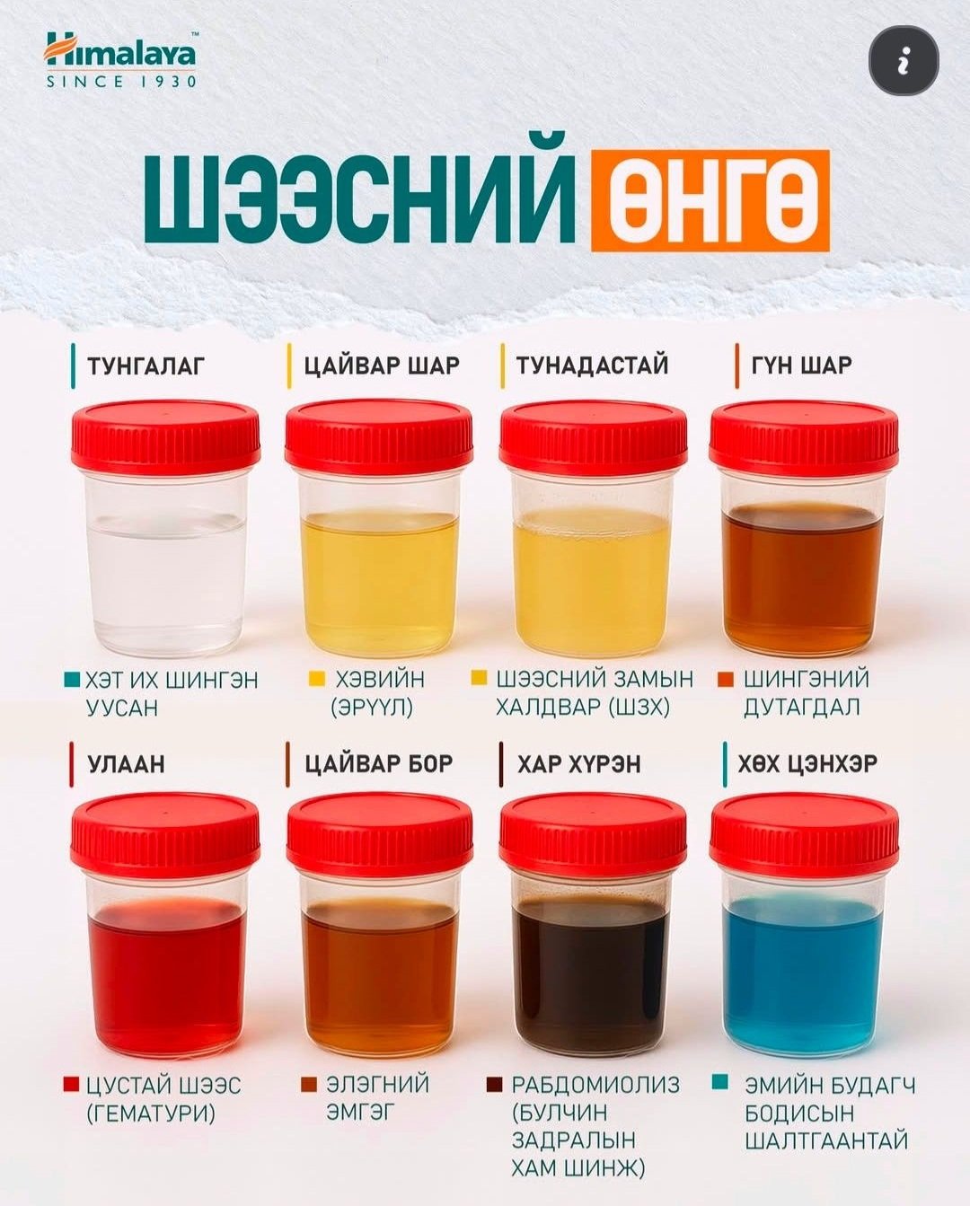 ​​​​​​​Шээсний өнгө бидэнд юуг хэлдэг вэ? 