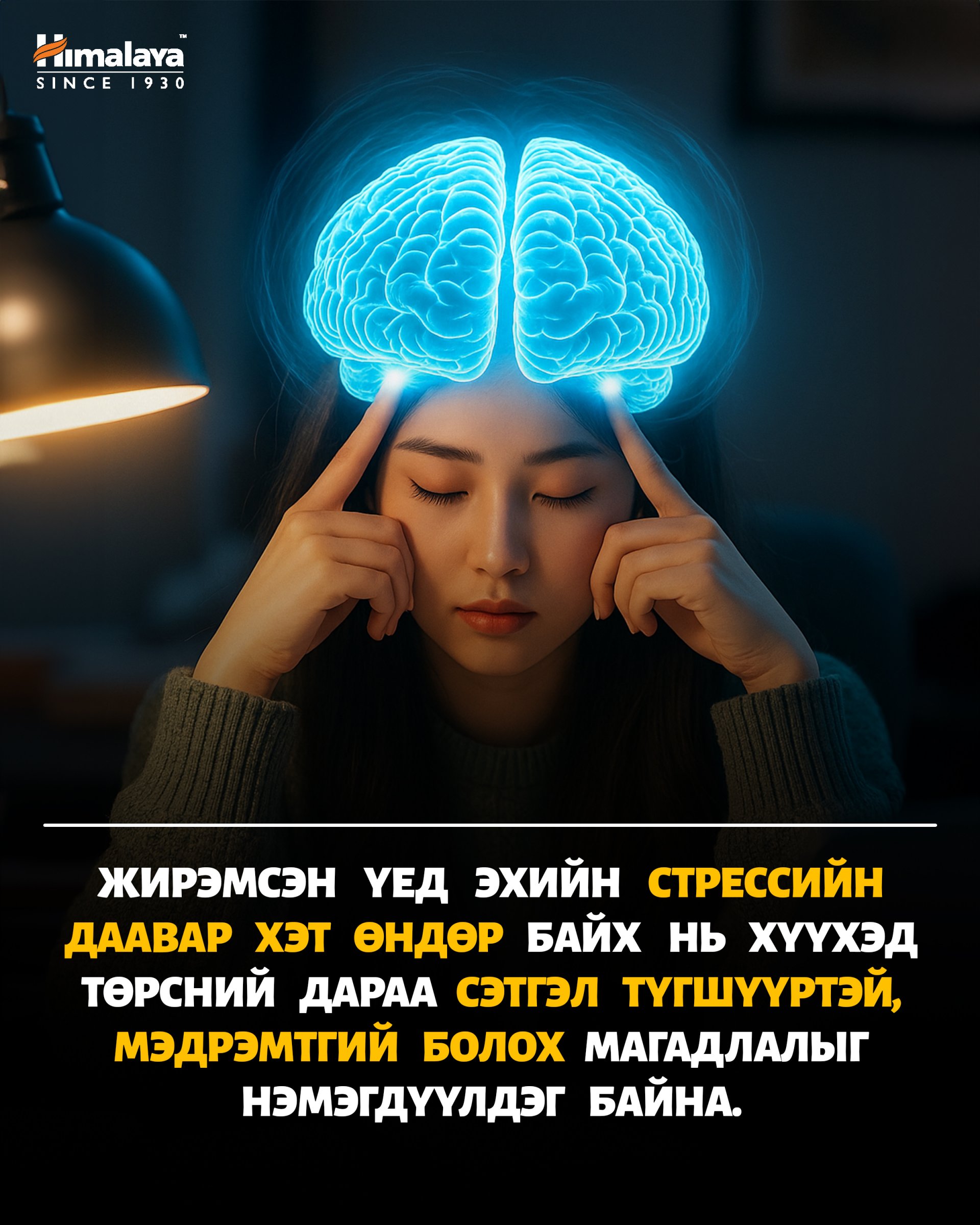 Жирэмсэн үед кортизолын үүрэг — “стрессийн даавар” ба түүний нууц 