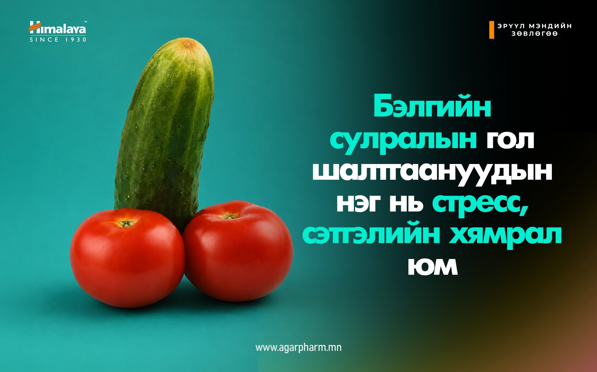 Стресс ба Бэлгийн сулрал