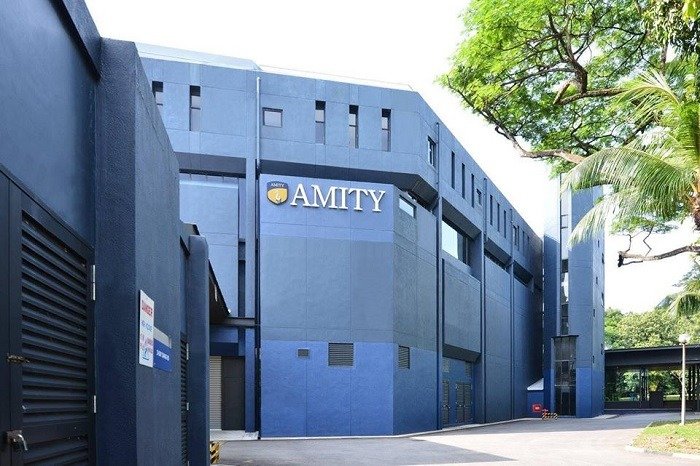 Amity institute 
