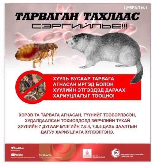Тарваган тахлаас сэргийлье!!!