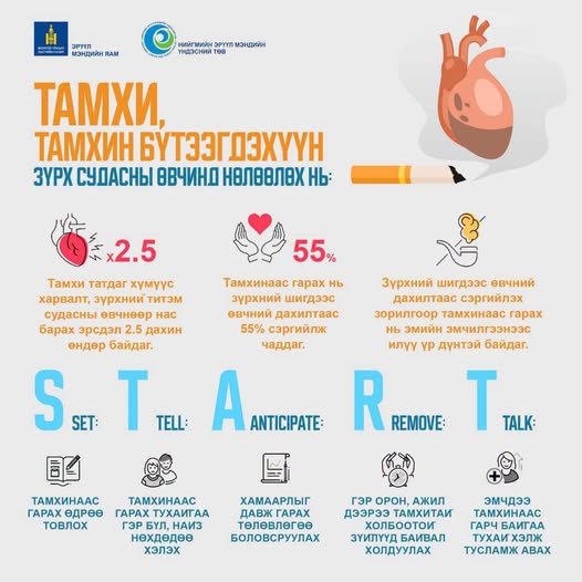 ТАМХИ, ТАМХИН БҮТЭЭГДЭХҮҮН ЗҮРХ СУДАСНЫ ӨВЧИНД НӨЛӨӨЛӨХ НЬ