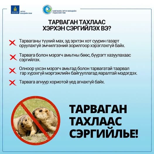 Тарваган тахал өвчнөөс сэргийлье!