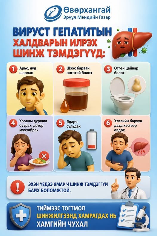 Вируст гепапитын халдварын илрэх шинж тэмдэгүүд:
