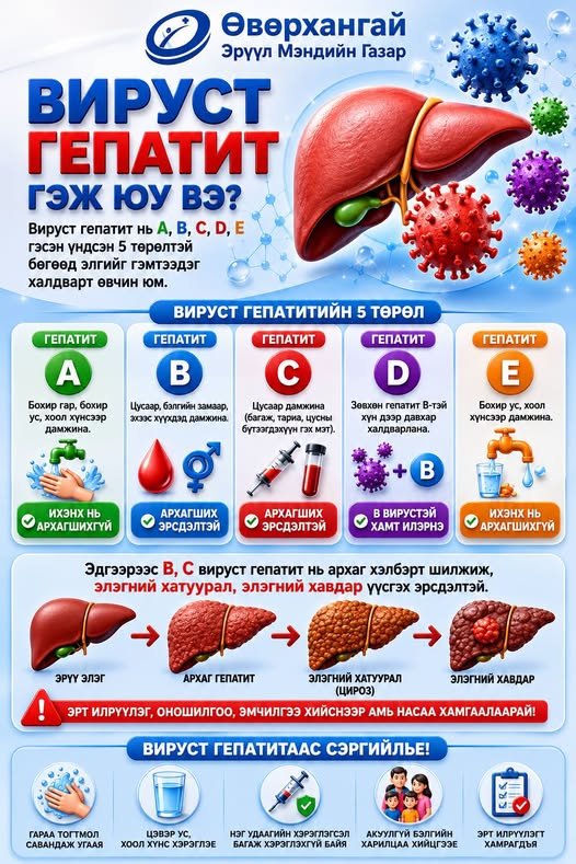 Вируст гепапит гэж юу вэ?