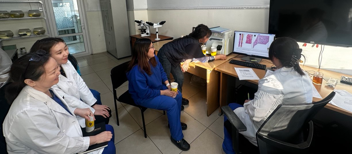 “Элэгний донорын яаралтай хөлдөөж зүссэн дээжид онош дүгнэлт өгөх нь” сэдэвт тохиолдол танилцуулга зохион байгууллаа.