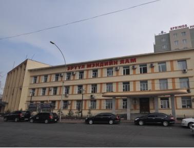 Эрүүл мэндийн яам мэргэжлийн хүнээр 