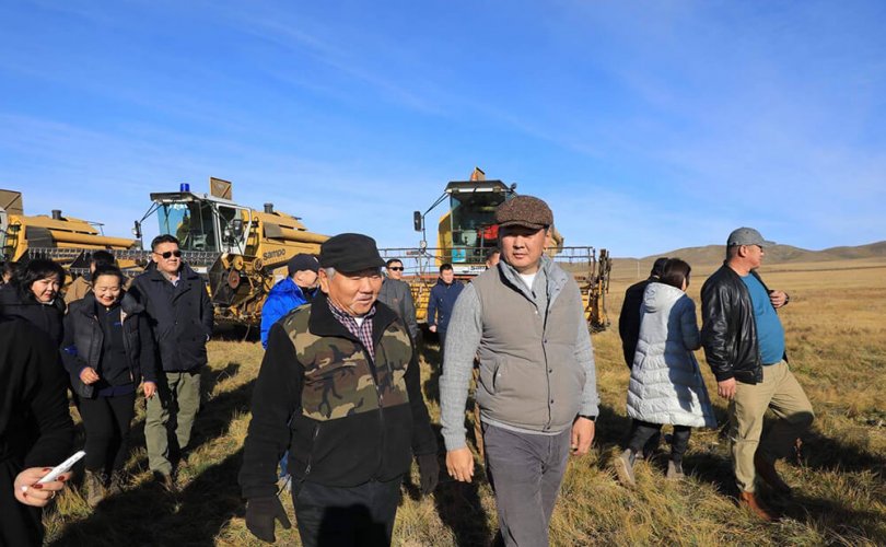 Ш.Оргил: Сэлэнгэ аймагт ургац хураалт 46 хувьтай байна 