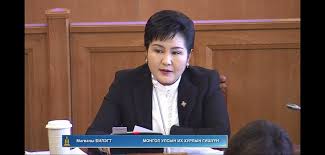 М.Билэгт: Яаман дээр хэсэг хүн ЖДҮХС-гийн зээлийг  төсөл бичээд аваад сурчихсан  